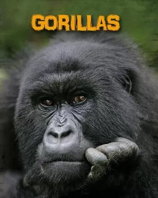 Gorillas