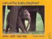 Lai Lai the Baby Elephant
