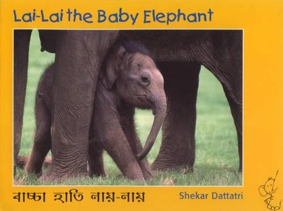 Lai Lai the Baby Elephant