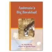 Ambrosia's Big Breakfast