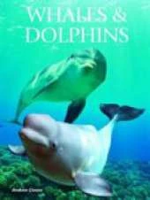 Whales and Dolphins