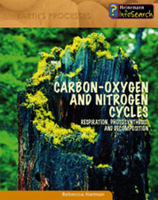 Carbon-Oxygen and Nitrogen Cycles