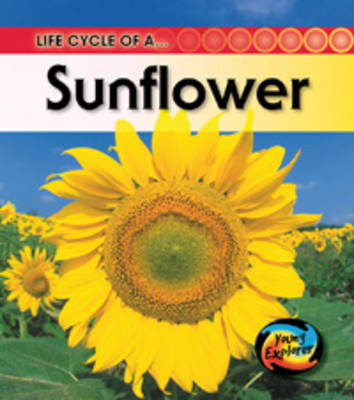 The Life Of A Sunflower