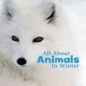Celebrate Winter Pack A of 4
