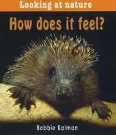 How Does it Feel?