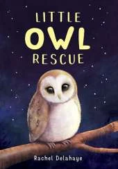 Little Owl Rescue