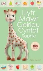 Llyfr Mawr Geiriau Cyntaf