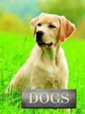 Dogs