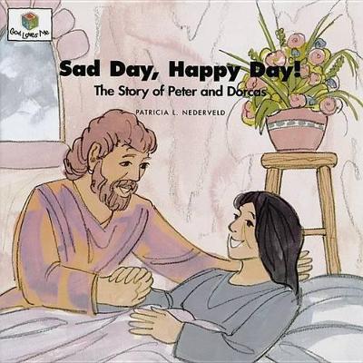 Sad Day Happy Day: God Loves Me Storybooks #47