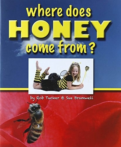 Where Does Honey Come From?