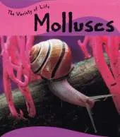 The Variety Of Life: Molluscs