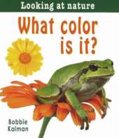 What Color is It?