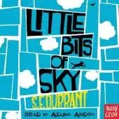 Little Bits of Sky