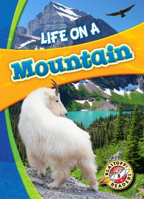 Life in a Mountain