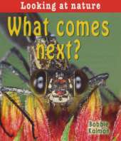 What Comes Next?