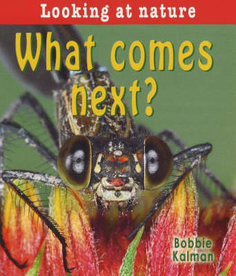 What Comes Next?