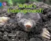 What's Underground? Workbook