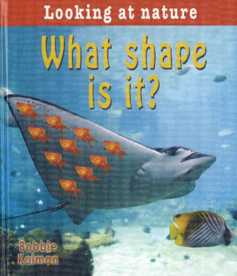What Shape is It?