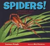 Spiders!: Strange and Wonderful