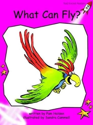 What Can Fly?: Emergent