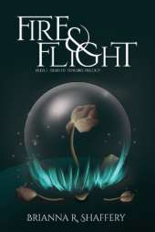 Fire & Flight