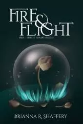 Fire & Flight