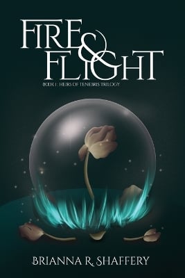 Fire & Flight
