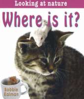Where is It?