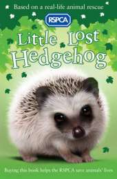 Little Lost Hedgehog
