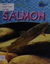 The Life Of A Salmon