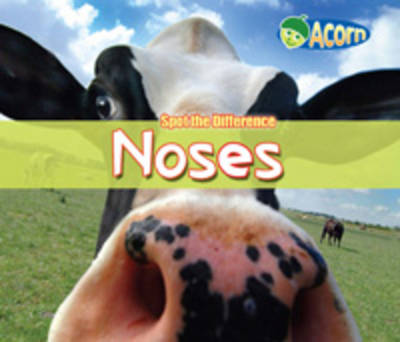 Noses