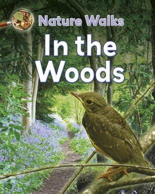 Nature Walks: In the Woods