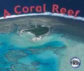 A Coral Reef