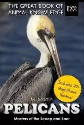 Pelicans: Masters of the Scoop and Soar