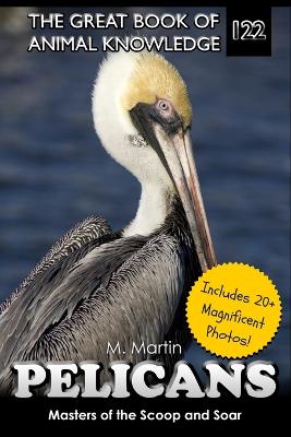 Pelicans: Masters of the Scoop and Soar