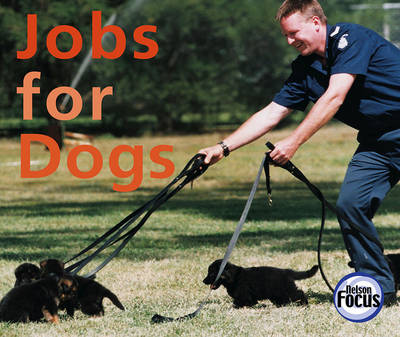 Nelson Focus 2b Jobs for Dogs