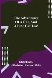 The Adventures of a Cat, and a Fine Cat Too!