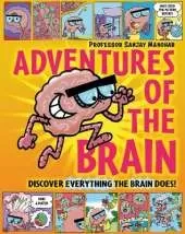 Adventures of the Brain: What the brain does and how it works