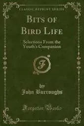 Bits of Bird Life: Selections From the Youth's Companion (Classic Reprint)