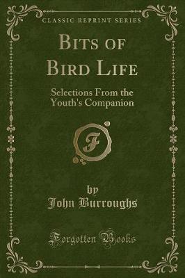 Bits of Bird Life: Selections From the Youth's Companion (Classic Reprint)