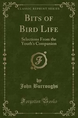 Bits of Bird Life: Selections From the Youth's Companion (Classic Reprint)