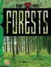 Forests: key stage 2