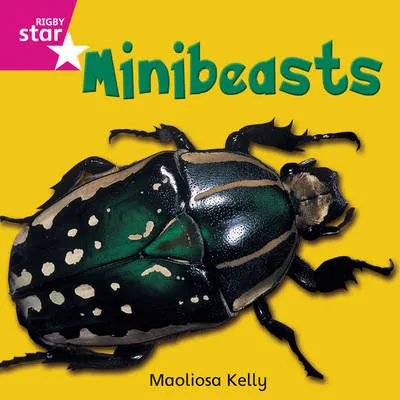 Rigby Star Independent Reception/P1 Pink Level: Minibeasts (3 Pack)