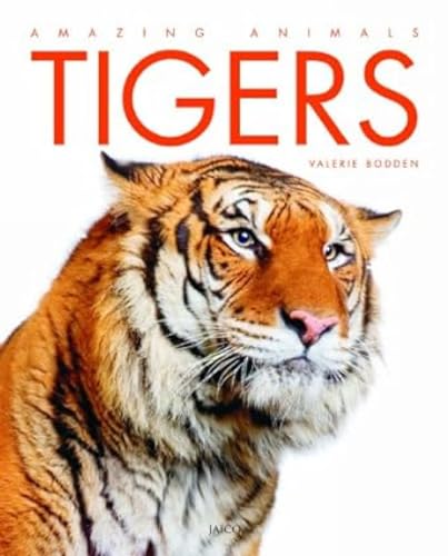 Tigers