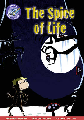 Navigator New Guided Reading Fiction Year 5, Spice of Life GRP