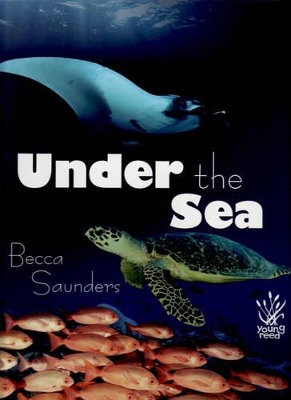 Under the Sea