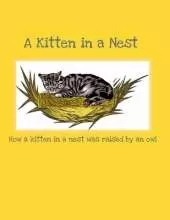 A Kitten in a Nest: How a Kitten in a Nest was raised by an Owl