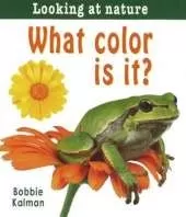 What Color Is it