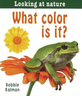 What Color Is it