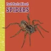 Fast Facts About Spiders